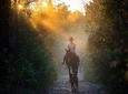 Horseback riding Dubrovnik Kojan Koral