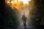 Horseback riding Dubrovnik Kojan Koral