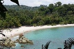 Manuel Antonio National Park Sightseeing and Wildlife Day Tour from San Jose