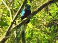 Quetzal tour on lake atitlan 