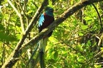 Quetzal tour on lake atitlan 