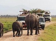 4 Days Amboseli, Tsavo West Tsavo East Luxury Safari