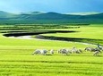 5-Day Private Trip to Inner Mongolia Grasslands and Deserts from Harbin