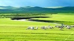 5-Day Private Trip to Inner Mongolia Grasslands and Deserts from Harbin