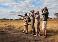 MIKUMI NATIONAL PARK WALKING AND GAME DRIVE SAFARI FROM MOROGORO