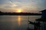 Nature By The Riverbank - Fireflies Watching by Row Boat - Dinner