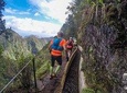 Green Levada Running Tour (Easy-Moderate)