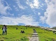 Private Tour: 5-Hour Yangmingshan Tour