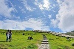 Private Tour: 5-Hour Yangmingshan Tour