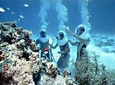 Bali Sea Walker GWK Uluwatu Sunset Tour - Free WiFi