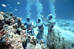 Bali Sea Walker GWK Uluwatu Sunset Tour - Free WiFi