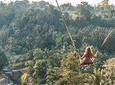 Best of Jungle Swing Volcano and Ubud Private Tour - Free WiFi