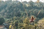 Best of Jungle Swing Volcano and Ubud Private Tour - Free WiFi