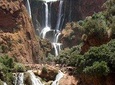 Ouzoud Waterfall Day Trip from Marrakech