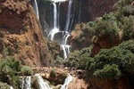 Ouzoud Waterfall Day Trip from Marrakech