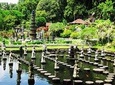 East Bali Goa Lawah Temple Tirta Gangga Tenganan Ujung Water Palace Private Tour