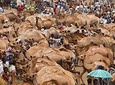 North Ethiopia Round Trip Tours From Addis Ababa
