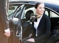 Tunis Carthage Private Arrival Airport Transfer to Tunis
