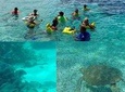 Hol Chan and Turtle Garden Snorkeling Tour