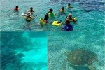 Hol Chan and Turtle Garden Snorkeling Tour