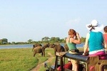 2 Day Tour to Galle & Udawalawe from Colombo