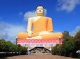 Bentota Village Tour with River Safari & Cultural Experience - All Inclusive