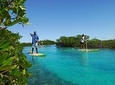 Stand Up Paddleboard Eco tour