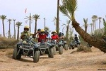 Sunset Tours quad biking and camel ride in the palm grove
