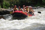 Bali Rafting, Rice Terrace, Volcano, Monkey Forest