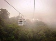 Monteverde Sky Tram & Hanging Bridges Cloud Forest Tour from San Jose