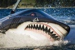 Seabreacher Ride in Cancun