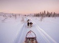 Ice Fishing and Husky