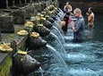 Holy Water Temple Experience and Ubud Highlight tour