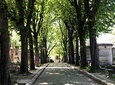 Semi-Private Père Lachaise Cemetery Tour