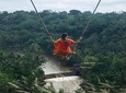 Experience Full Day to Bali Swing Temple and Monkey Forest