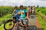 South Ubud E - Bike and Ayung River White Water Raft