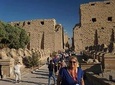 Private Half-Day Karnak and Luxor Temples Tour from luxor hotels