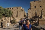 Private Half-Day Karnak and Luxor Temples Tour from luxor hotels