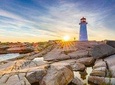Best of Halifax Tour