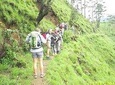 Trekking Through the Forest and Mountain View From Ella, Haputale, Bandarawela