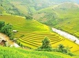 AMAZING SAPA HIKING & SIGHTSEEING