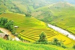 AMAZING SAPA HIKING & SIGHTSEEING