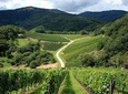 Prosecco wine tour from Venice
