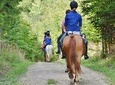 Horseback riding and wine tour