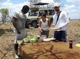 MIKUMI NATIONAL PARK FROM ZANZIBAR 2 DAYS ONE NIGHT FLYING OPTION