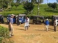 Tuk Tuk safari and Picnic in The Tea Plantation from Ella,Haputale & Bandarawela