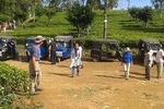 Tuk Tuk safari and Picnic in The Tea Plantation from Ella,Haputale & Bandarawela