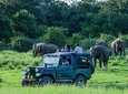 Udawalawe Safari Day Trip from Bentota & Surroundings - All Inclusive 