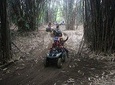 Bali ATV Ride and Volcano Sightseeing Tour