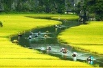 Hoa Lu Tam Coc Full Day Tour with Biking, Boating, Sightseeing from Hanoi